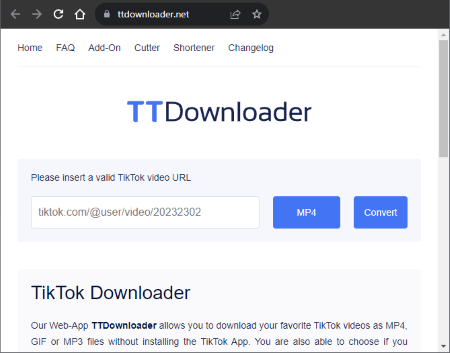 TikTok Video Downloader Without Watermark - URL MP4