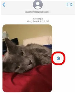 how to save text message pictures on iphone