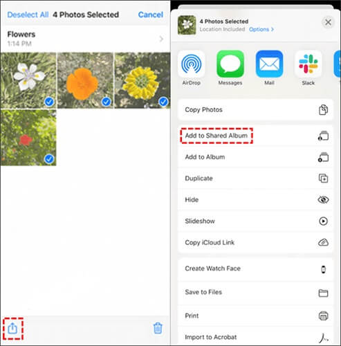 condividere foto su icloud su iPhone