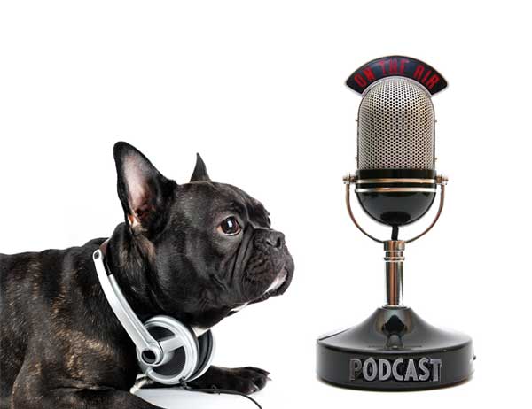 make a podcast to publish on itunes