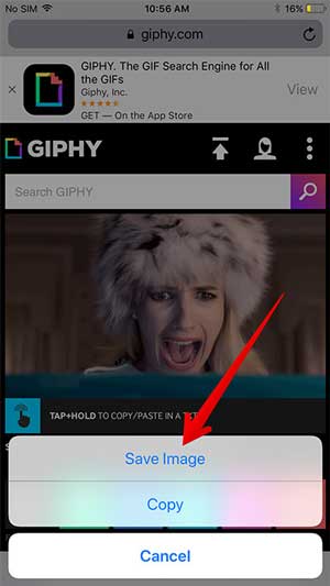 How to save GIFs on your iPhone